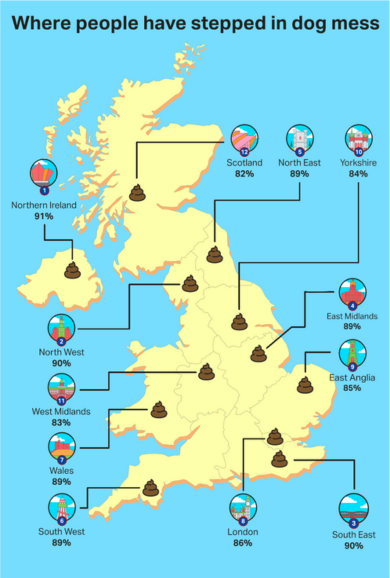 Graphic showing where people have stepped in dog poo