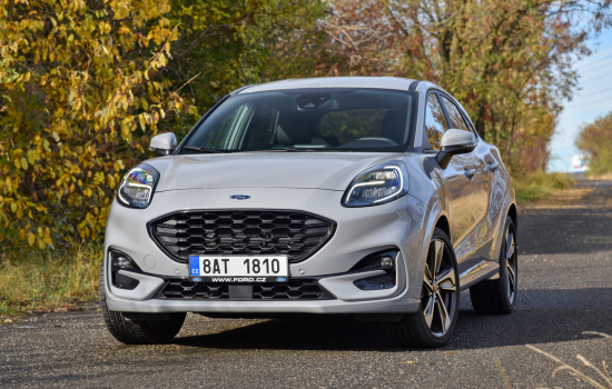 grey ford puma on country road